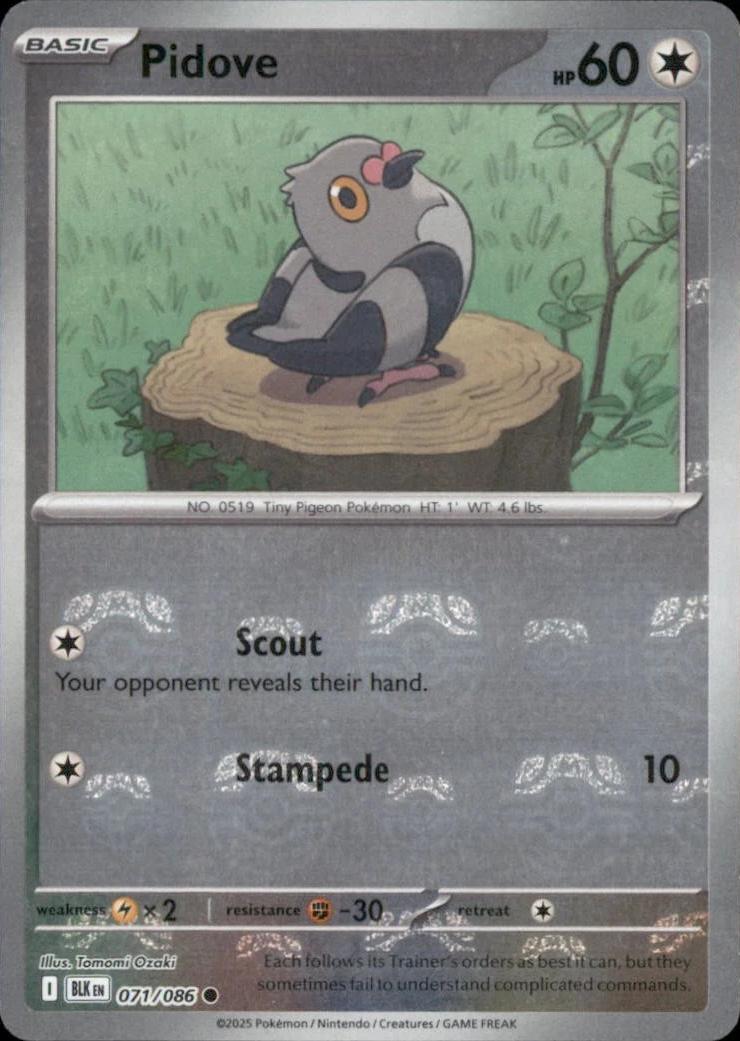 Black Bolt Pidove [Master-Ball] Pokémon card